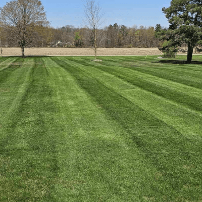 Lawn Mowing